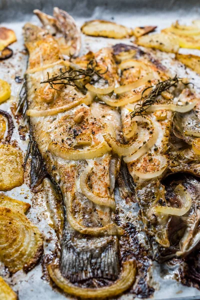 Fillet of Sea Bass la grătar cu cartofi și ceapă în tavă de copt cu cuptor . — Fotografie, imagine de stoc