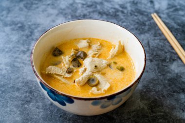 Hindistan cevizi sütü, tavuk ve Galangal soslu Tayland usulü Tom Kha Gai Çorbası. Geleneksel Yemek.
