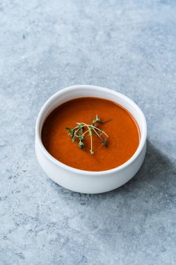 İspanyol Baharatlı Soğuk Gazpacho Çorbası Püresi / Gaspachio veya Biberiyeli Gaspacho. Geleneksel Yemek.
