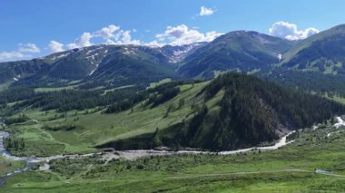 Doğu Kazakistan 'daki Eski Avusturya Yolu' nda yaz güneşli tepede ladin ağaçları ve karlı tepelerle birlikte 4k hava aracı görüntüsü.