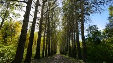 sonbahar park geçitle