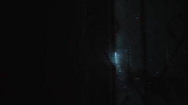 Pencereye gece görüntüsü yansıması. Penceredeki yaprakların gölgeleri rüzgarın etkisi altında hareket eder..