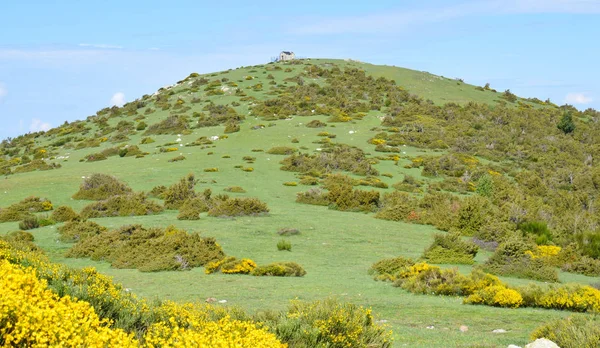 Matagalls Montseny Provincia Barcelona — Foto de Stock