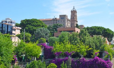 Barcelona'da kentsel bitki örtüsü peyzaj