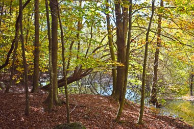 El Montseny doğal park Barcelona akışında