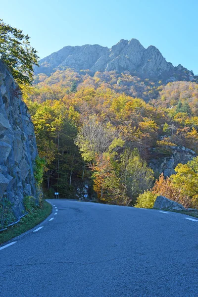 Floresta Outono Montseny Barcelon — Fotografia de Stock