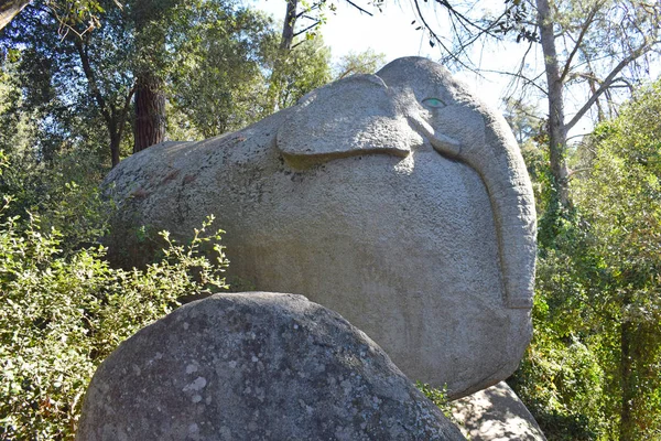 Bosque Encantado Orrius Barcelona — Foto de Stock