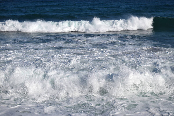Sea minced in Cabrera de Mar Barcelona