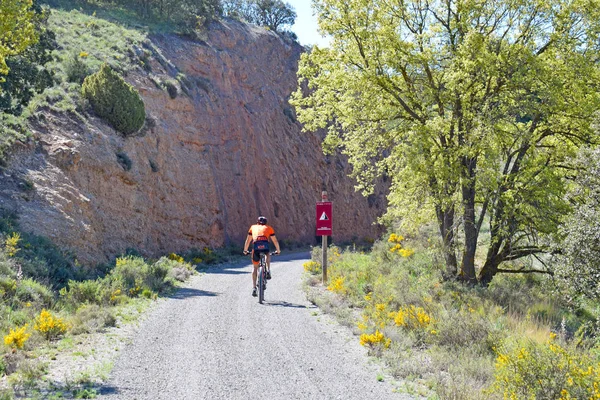 Verde Ojos Negros Från Teruel Till Valencia — Stockfoto