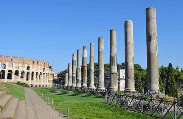 Colosseo Roma Colonne Del Foro Romano Roma Italia — Foto Stock