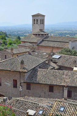 San Francisco de Asis, Floransa şehri İtalya