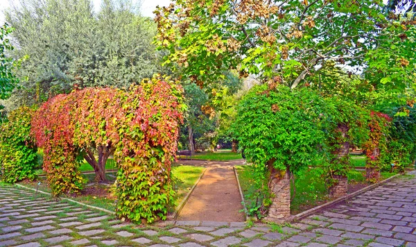 Zahrady Veřejném Parku Montjuic Barcelona Spai — Stock fotografie