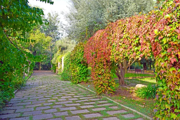 Zahrady Veřejném Parku Montjuic Barcelona Spai — Stock fotografie