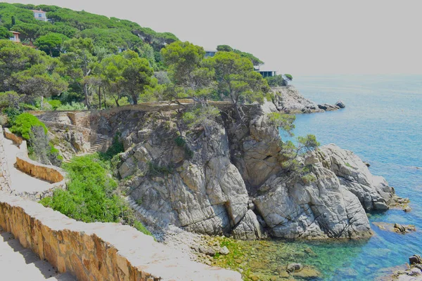 ロレット マル海岸線 ジェローナ カタルーニャ スパイ — ストック写真