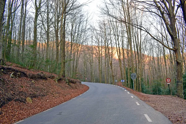 Foresta Montseny Barcellona Catalogna Spai — Foto Stock