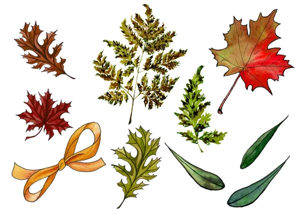 Ακουαρέλα Χέρι Φθινοπωρινά Φύλλα Set Ακουαρέλα Φθινόπωρο Χρωματιστά Φύλλα Φθινοπωρινή — Φωτογραφία Αρχείου