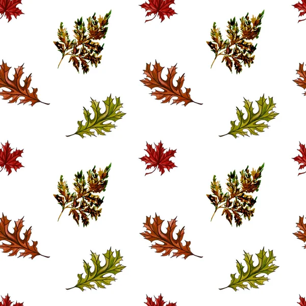 Watercolor hand drawn Thanksgiving seamless pattern. Maple and oak leaves, branches, bouquet. Autumn seamless pattern.