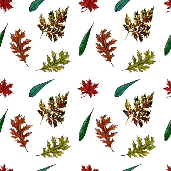 Watercolor hand drawn Thanksgiving seamless pattern. Maple and oak leaves, branches, bouquet. Autumn seamless pattern.