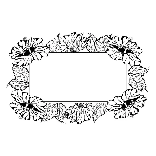 Grafický Rámeček Květ Ibišku Květy Listy Izolované Bílém Pozadí Ručně — Stock fotografie