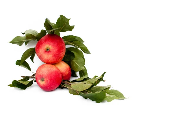 Manzana Roja Madura Con Hojas Manzana Aisladas Sobre Fondo Blanco —  Fotos de Stock