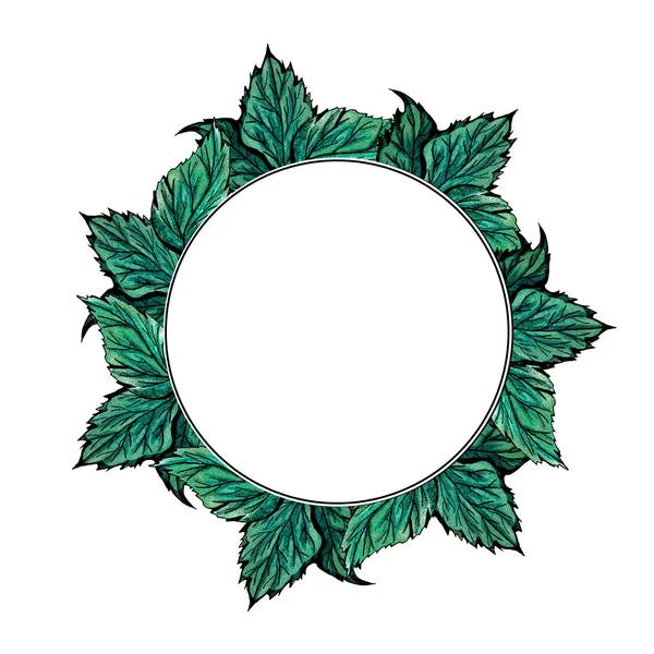 图形圆形叶子框架查出在白色背景 手绘墨水和水彩植物例证 — 图库照片