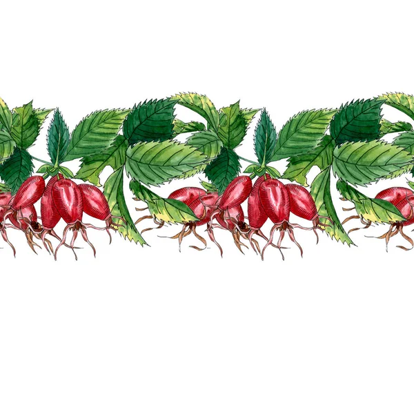 水彩无缝图案与狗玫瑰 Hiprose 红色浆果和绿叶的分支 在白色背景的 Hip 玫瑰无水手样式 — 图库照片