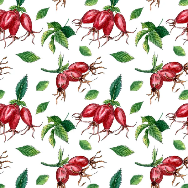 Watercolor Seamless Pattern Branch Dog Rose Hiprose Red Berries Green — Stock Photo, Image