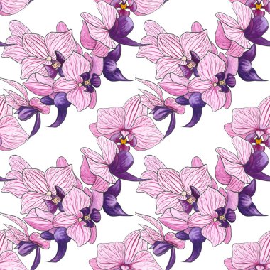 Pembe orkide çiçekleri ile sulu boya Dikişsiz desen. Çiçek Botanik sorunsuz süsleme el boyalı. Pinc ve mor küçük çiçekler.