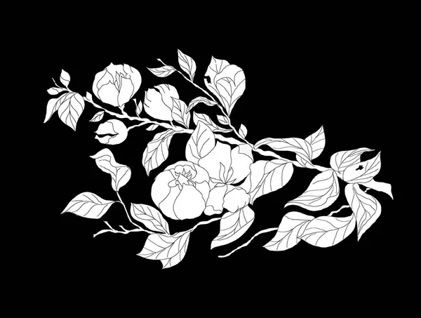 Γραφικό Άσπρα Άνθη Υποκατάστημα Φύλλα Και Λουλούδια Που Απομονώνονται Μαύρο — Φωτογραφία Αρχείου