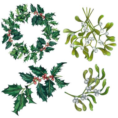 Suluboya Noel ökseotu, Holly ağaç ve beyaz zemin üzerine kırmızı yay izole kümesi. El Beyaz arka plan üzerinde izole kırmızı ve beyaz berry ile Holly ve ökseotu şube boyalı. 