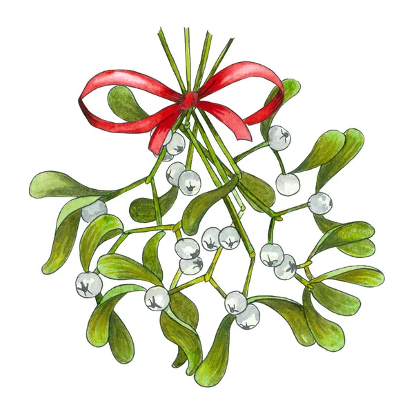 Ręcznie Rysowane Jemioła Akwarela Święta Roślina Tło Boże Narodzenie Romantyczne — Zdjęcie stockowe