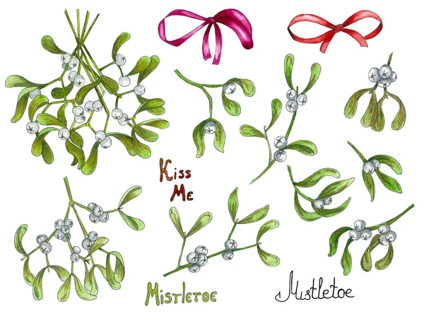 Hand drawn mistletoe. Watercolor  Christmas plant background. Romantic Christmas illustration. Set of Watercolor Christmas Mistletoe and Red Bows Isolated on White Background. Winter template.