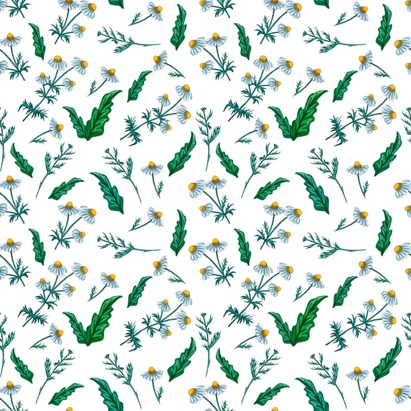 Akvarell Blommönster Med Vildblommor Delikat Sömlös Blomma Tapet Mild Botaniska — Stockfoto