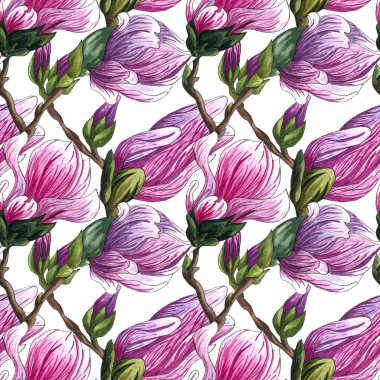 Sulu boya Dikişsiz desen Pembe Manolya çiçek. Suluboya Manolya el çekilmiş Dikişsiz desen beyaz arka plan üzerinde. Botanik çiçek öğeleri tasarımınız için. Manolya dal çiçek ve yaprakları ile.