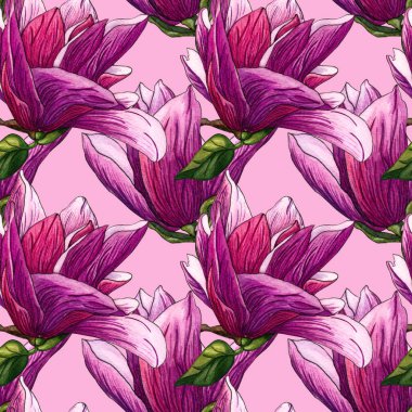 Sulu boya Dikişsiz desen Pembe Manolya çiçek. Suluboya Manolya el çekilmiş Dikişsiz desen renk arka plan üzerinde. Botanik çiçek öğeleri tasarımınız için. Manolya dal çiçek ve yaprakları ile.