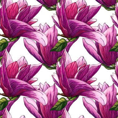 Sulu boya Dikişsiz desen Pembe Manolya çiçek. Suluboya Manolya el çekilmiş Dikişsiz desen beyaz arka plan üzerinde. Botanik çiçek öğeleri tasarımınız için. Manolya dal çiçek ve yaprakları ile.