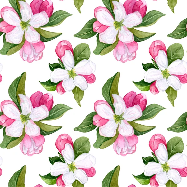 Nahtloses Muster Mit Aquarell Apfelblüten Und Blättern Nahtloses Muster Mit — Stockfoto