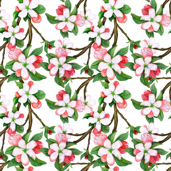 Seamless pattern with watercolor apple flowers and leaves. Seamless pattern with pink  and white flowers apple and peach. Hand drawn watercolor illustration.