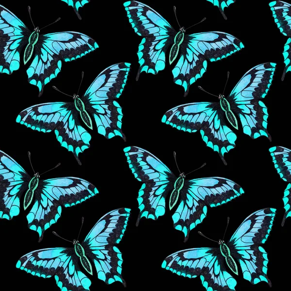 Butterflies moths insects animals fly. Seamless pattern with bytterflies. Wallpaper. Rose Chamomile Wildflowers Floral.
