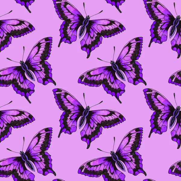 Papillons Nocturnes Insectes Animaux Volent Modèle Sans Couture Avec Bytterflies — Photo
