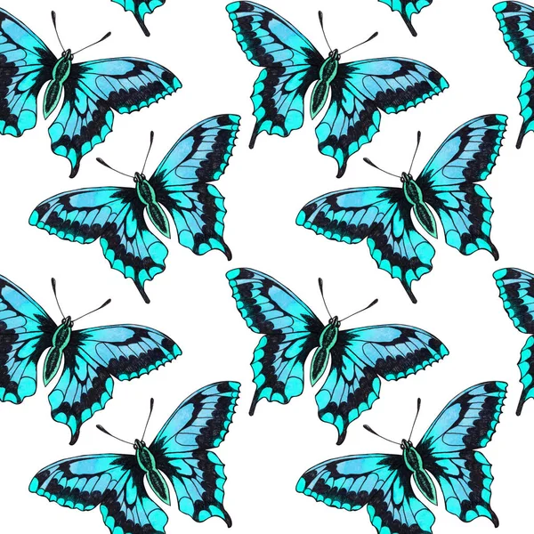 Kupu Kupu Ngengat Serangga Hewan Terbang Pola Mulus Dengan Bytterflies Stok Lukisan  