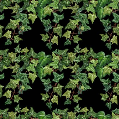Sulu Boya Dikişsiz botanik Ivy illüstrasyon. Ivy dal üzerinden botanik seamless modeli. 