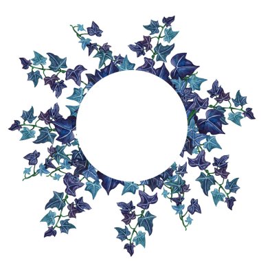 Suluboya botanik Ivy illüstrasyon. Botanik çerçevelemek--dan Ivy dal. 