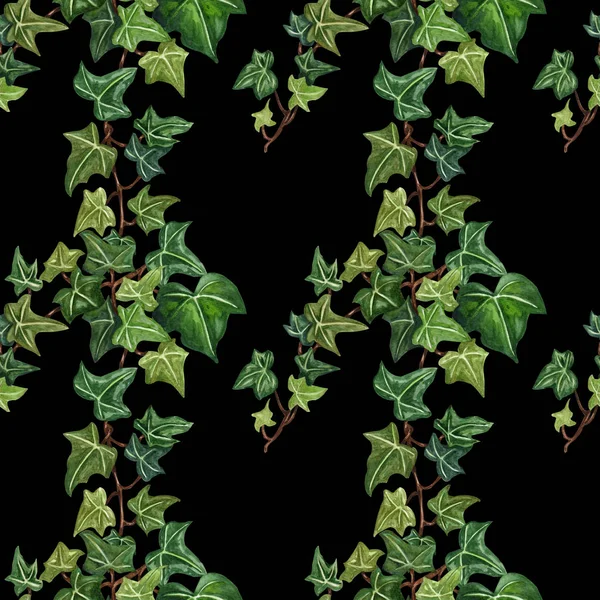 Watercolor seamless botanical ivy illustration. Botanical seamless pattern from ivy twig.