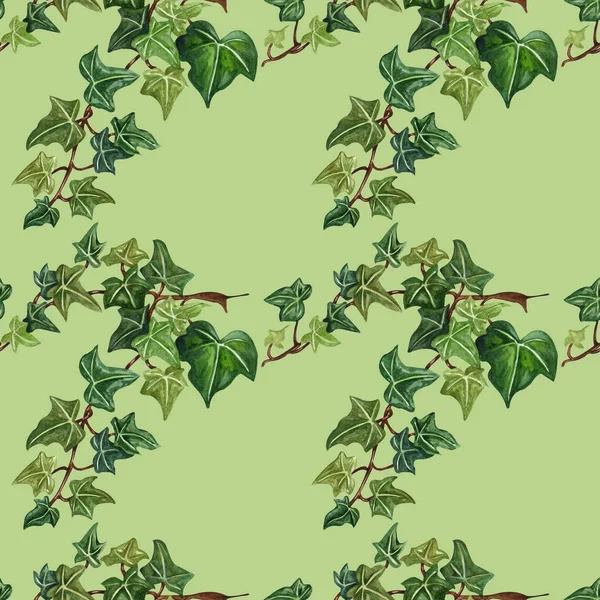 Watercolor seamless botanical ivy illustration. Botanical seamless pattern from ivy twig.