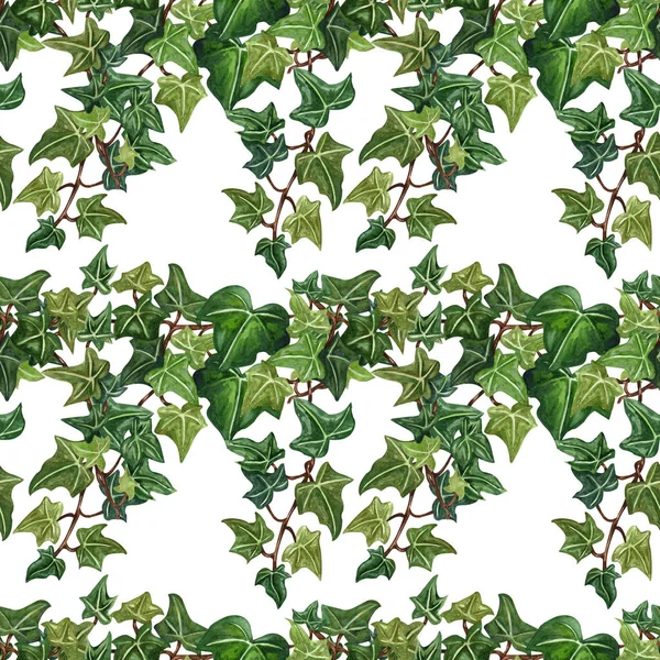 Watercolor seamless botanical ivy illustration. Botanical seamless pattern from ivy twig.