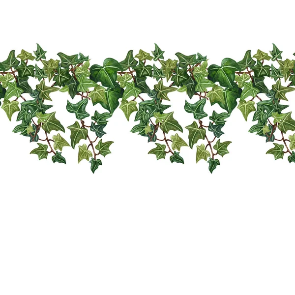 Watercolor seamless botanical ivy illustration. Botanical seamless frame from ivy twig.