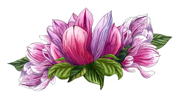 Floral bouquet with pink magnolia flowers and green leaves. Watercolor floral illustration.