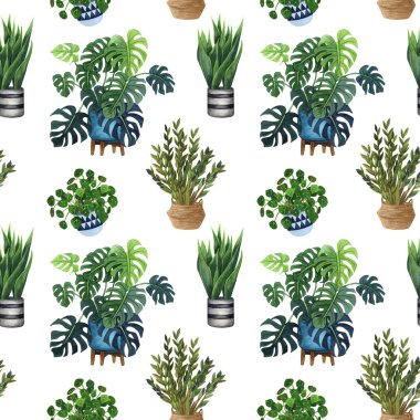 Kapalı bitki suluboya dikişsiz desen. Ev bitkileri, incir ağacı, Zz Bitki (Zamioculcas), Yılan Bitki (Sansevieria), Keman Yaprak İncir, misyoner bitkiler, ficus, monstera bir tencerede.