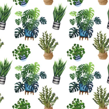 Kapalı bitki suluboya dikişsiz desen. Ev bitkileri, incir ağacı, Zz Bitki (Zamioculcas), Yılan Bitki (Sansevieria), Keman Yaprak İncir, misyoner bitkiler, ficus, monstera bir tencerede.